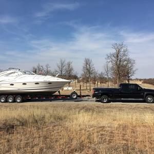 Meet your Posher, Logan